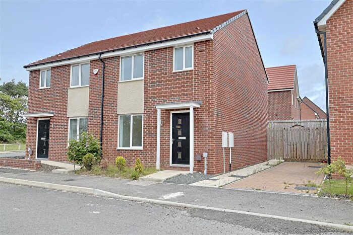 3 Bedroom Semi-Detached House To Rent In Bramble Way, Great Park, Newcastle Upon Tyne, NE13