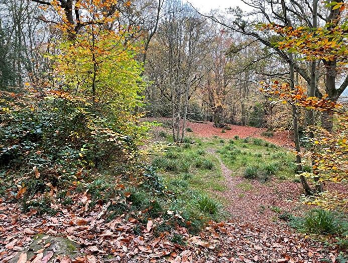 Land For Sale In Plot Amp;P Part Of Brokeswood, Powder Mill Lane, Tunbridge Wells, Kent, TN4