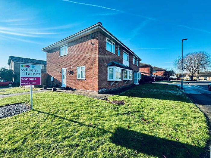 5 Bedroom Semi-Detached House For Sale In Elmore Road, Peterborough, PE3