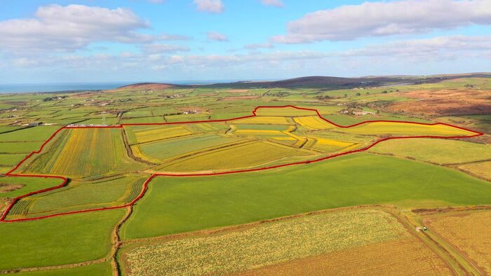 Land For Sale In Higher Leah, St Buryan, Penzance, TR19