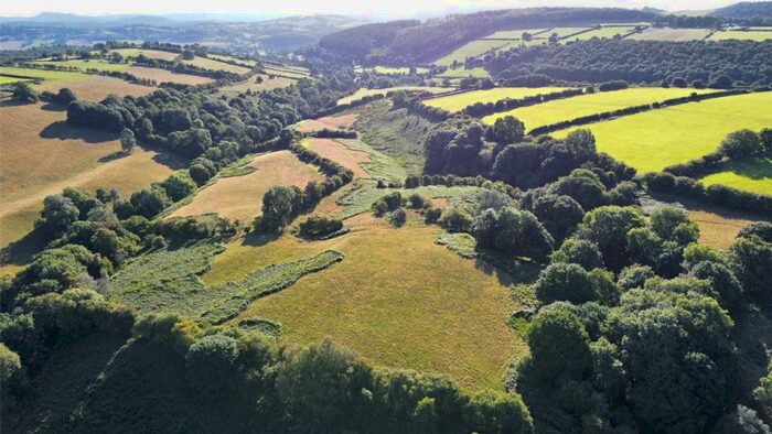 Farm Land For Sale In Lot Four: Willey, Presteigne, Herefordshire, County, LD8