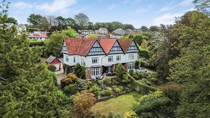 6 Bedroom Semi-Detached House For Sale In Whitchurch Road, Tavistock, PL19