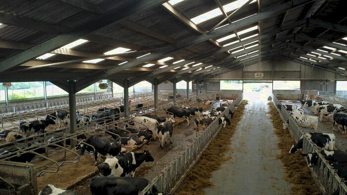 Farm For Sale In Bancyfelin, Carmarthen, SA33