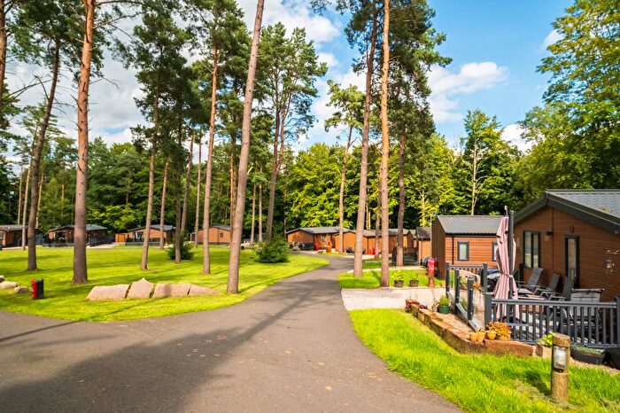 2 Bedroom Lodge For Sale In Tingdene Harrington Lodge Lowther Holiday Park, Penrith, CA10