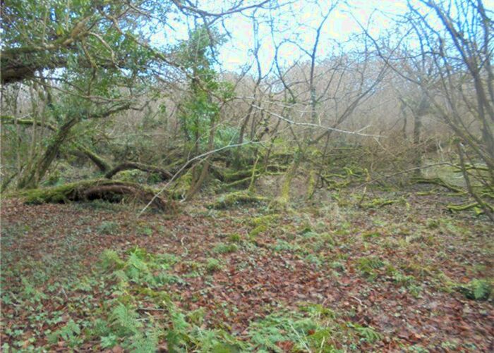 Land For Sale In Land At Gaverigan Manor, Indian Queens, St. Columb, Cornwall, TR9