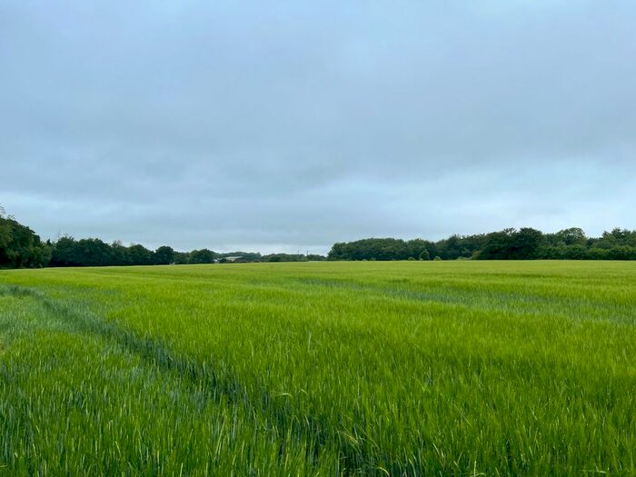 Land For Sale In Quarley, Andover, Hampshire, SP11