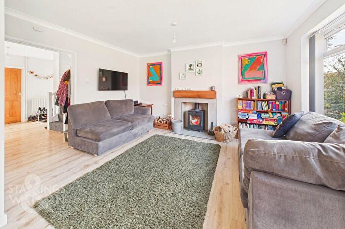 4 Bedroom Detached Bungalow For Sale In Park Close, Thurton, Norwich, NR14