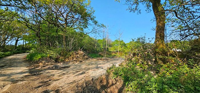 Land For Sale In Derril, Pyworthy, EX22