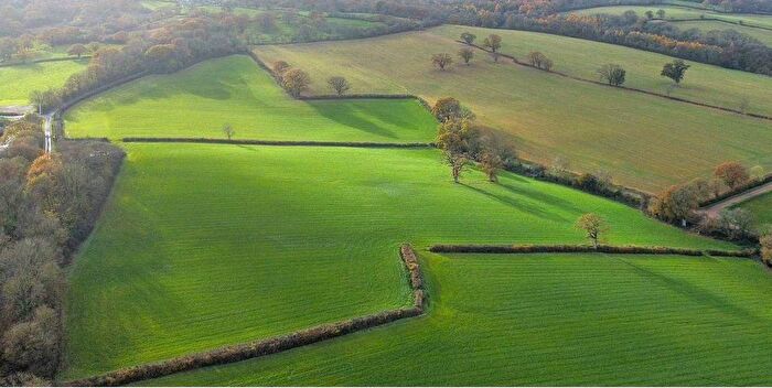 Land For Sale In Staple Fitzpaine, Taunton, TA3