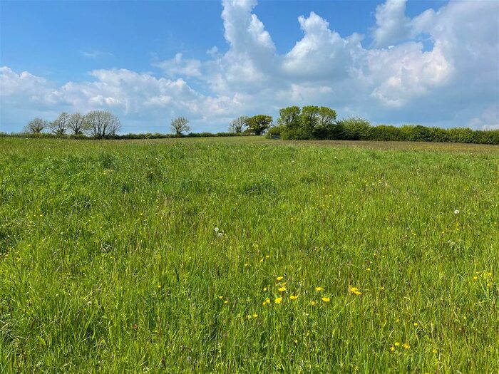 Land For Sale In Littlehempston, Totnes, TQ9