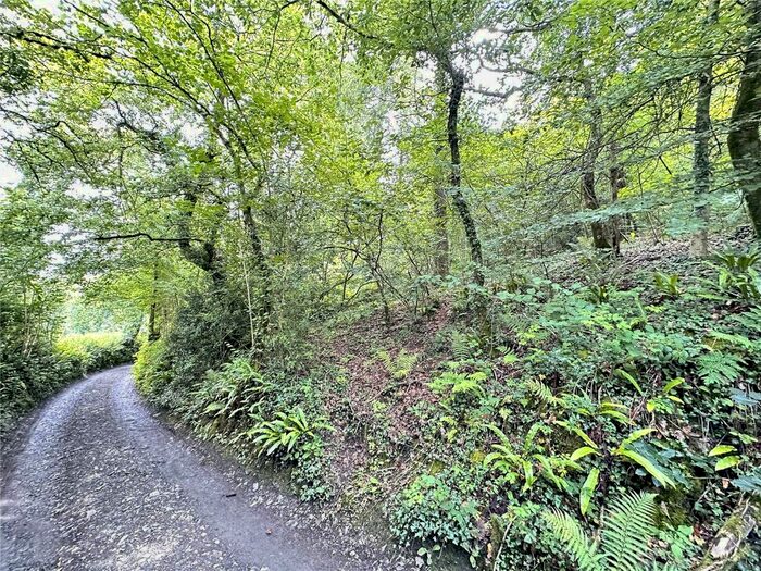 Land For Sale In Lewdown, Okehampton, EX20