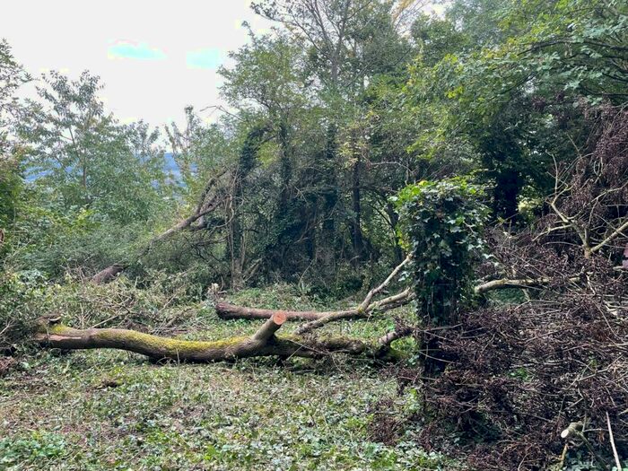 Farm Land For Sale In Hilliers Lane, Yarley, Wells, BA5