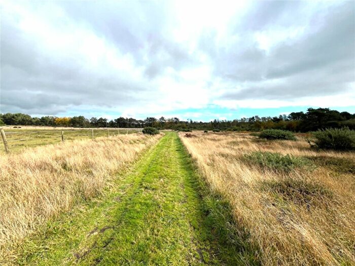 Land For Sale In Foxbury Road, St. Leonards, Ringwood, Dorset, BH24