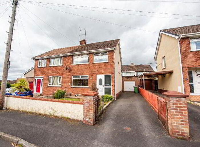 3 Bedroom Semi-Detached House For Sale In Killycomain Park, Craigavon, BT63