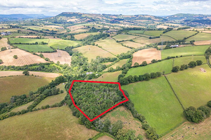 Land For Sale In Woodland At Littlemill Farm, Newcastle, Monmouth, Monmouthshire, NP25