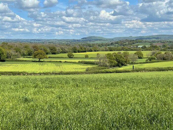 Land For Sale In Shillingstone, Blandford, Dorset, DT11