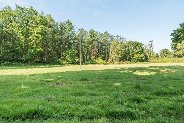 Land For Sale In Bramshaw, Lyndhurst, Hampshire, SO43