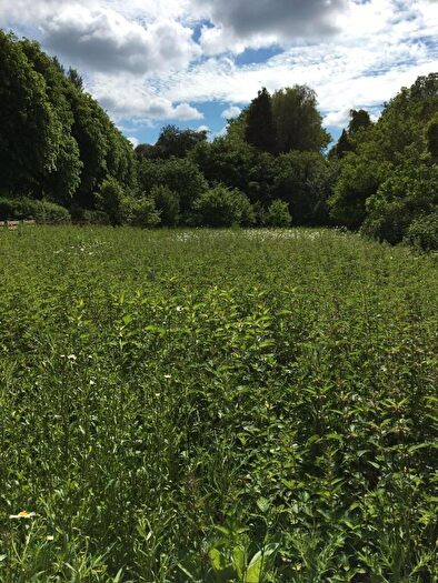 Land For Sale In Land To The North Of Bullswater Lane, Surrey, GU24
