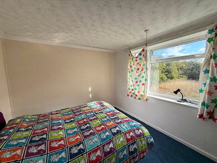 2 Bedroom Detached Bungalow For Sale In Butchers Lane, Walton-on-the-naze, CO14