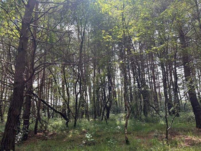 Land For Sale In Ringwood Road, Woolsbridge, BH21