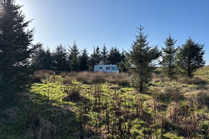 Land For Sale In Land At Craigview Wood, Glenlochar, Dumfries And Galloway, DG7