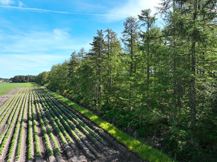 Land For Sale In Lot - Burnside Woodland, Killen, Avoch, Ross-Shire, IV10