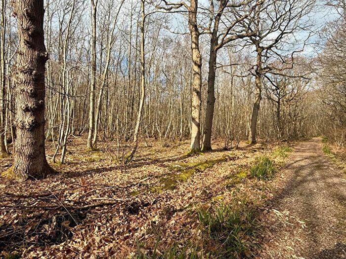 Land For Sale In Moore Wood, Dunkirk, Faversham, Kent, ME13