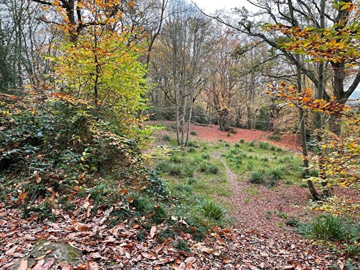 Land For Sale In Plot Amp;P Part Of Brokeswood, Powder Mill Lane, Tunbridge Wells, Kent, TN4