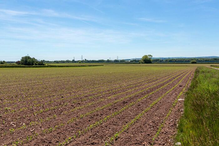 Land For Sale In Lot | Land At Hall Farm, Puddington Lane, Puddington, Cheshire, CH64