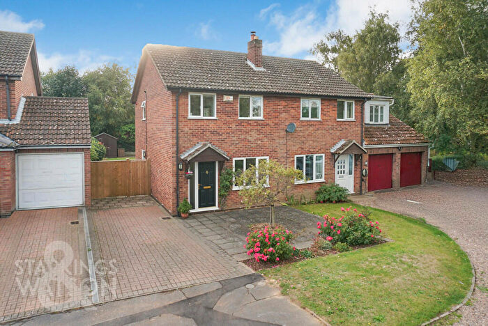 3 Bedroom Semi-Detached House For Sale In Otter Close, Salhouse, Norwich, NR13