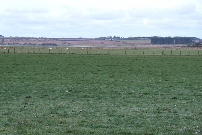 Land For Sale In Watten Development, Watten., KW1