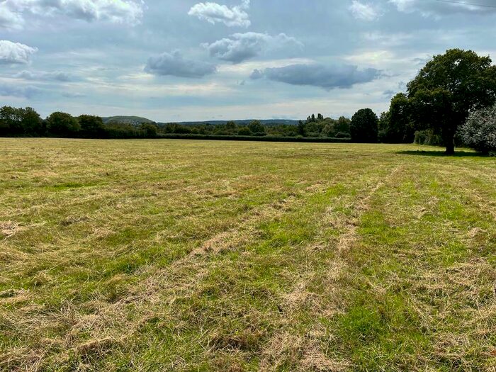 Land For Sale In East Orchard, Shaftesbury, Dorset, SP7