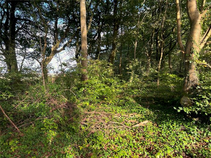 Land For Sale In North Tamerton, Holsworthy, EX22