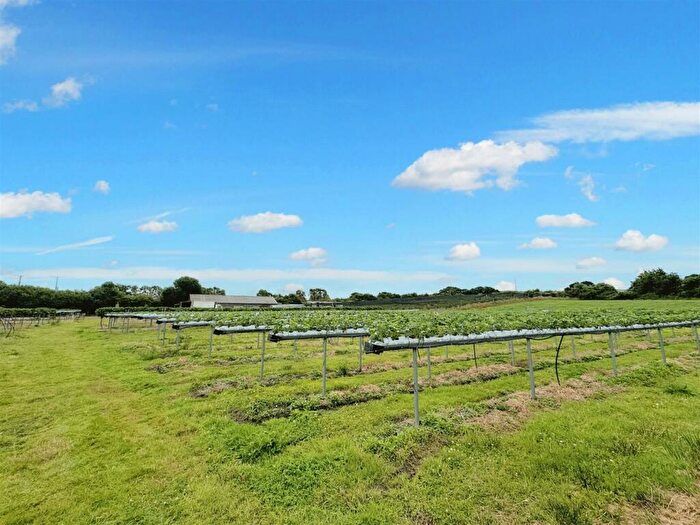 Land For Sale In Soldiers Road, Wareham, BH20