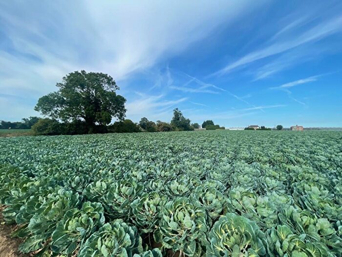 Farm Land For Sale In . Acres At Hoffleet Stow, PE20
