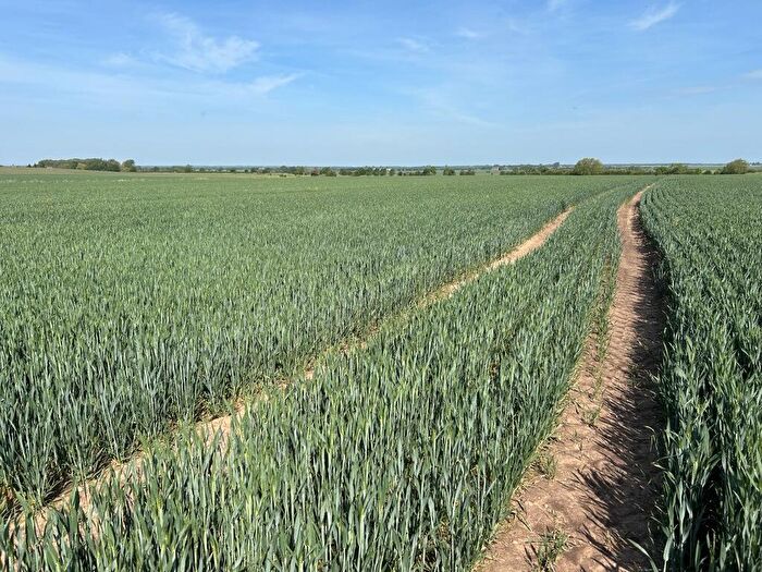 Farm Land To Rent In Land At Gringley-on-the-Hill & Walkeringham, Doncaster, Nottinghamshire, DN10