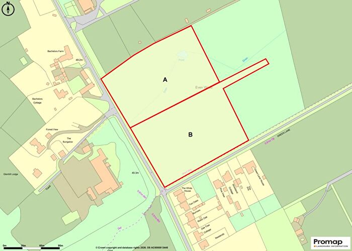 Land For Sale In Long Reach, Ockham, GU23