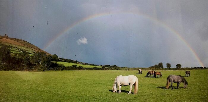 Property For Sale In Dinas Cross, Newport, SA42