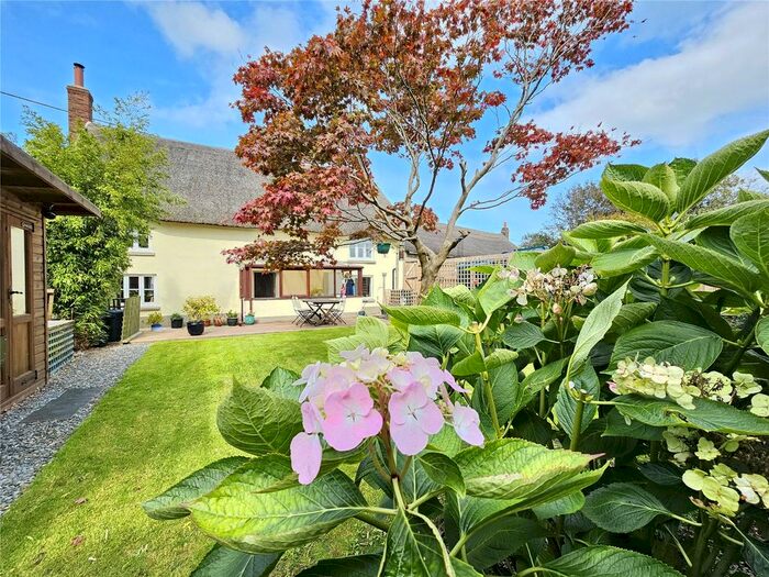 4 Bedroom Detached House For Sale In Riddlecombe, Chulmleigh, EX18