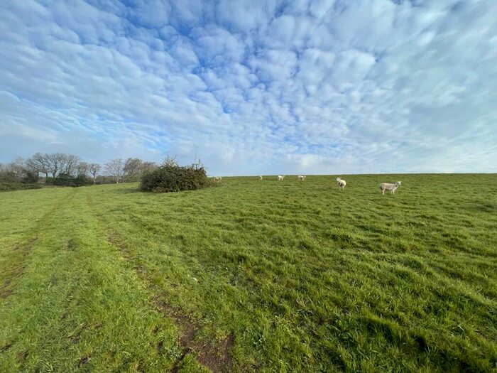 Land For Sale In Bridford, Devon, EX6