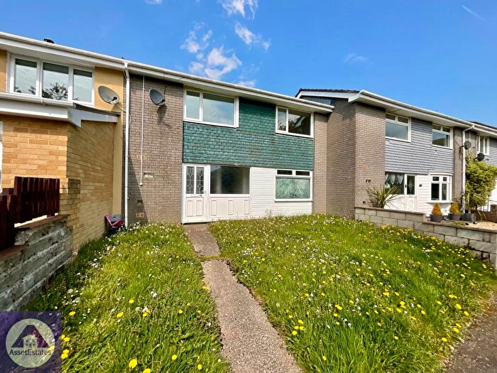 3 Bedroom Terraced House To Rent In Cwmcelyn Newydd, Blaina, NP13