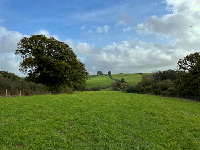 Land For Sale In Whatley, Winsham, Chard, Somerset, TA20