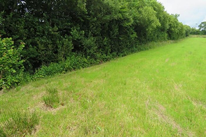 Land For Sale In Plot, Land At Hollacombe, Near Headon Cross, Holsworthy, Devon, EX22