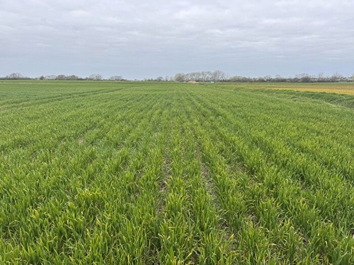 Farm Land For Sale In Arable Land At Coveney, Short Causeway, Witcham, Cambridgeshire, CB6