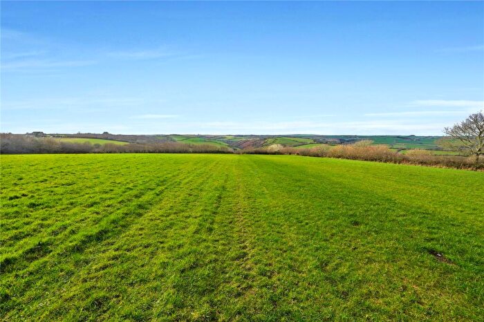 Land For Sale In Morval, Looe, Cornwall, PL13
