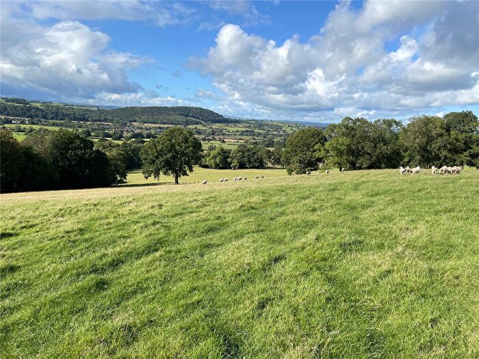 Land For Sale In Trelydan, Welshpool, Powys, SY21