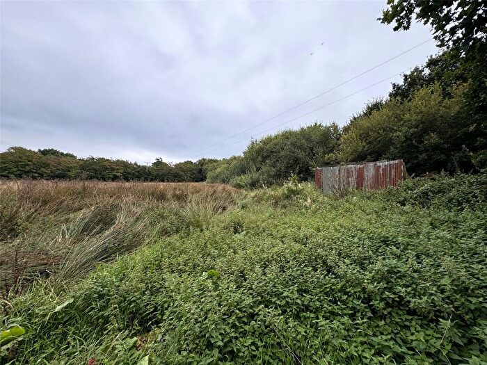 Land For Sale In Dunsland Cross, Brandis Corner, Holsworthy, EX22
