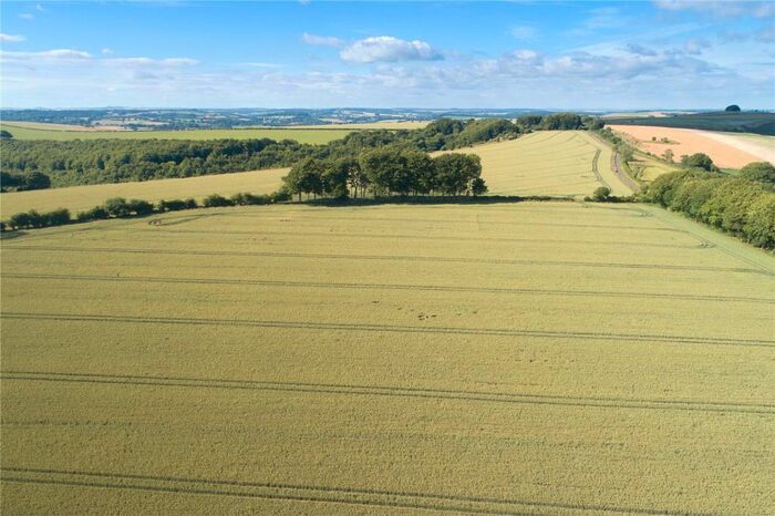 Land For Sale In Ashmore, Shaftesbury, SP5