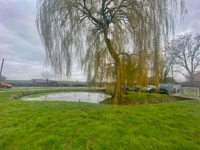 2 Bedroom Bungalow To Rent In Robert Andrew Close, Morley St. Botolph, Wymondham, NR18