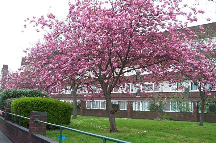 Flat To Rent In Bowditch, London, SE8